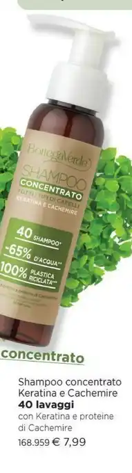 Bottegaverde Shampoo Concentrato