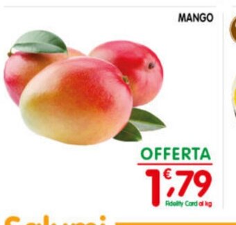 D'Ambros MANGO offerta