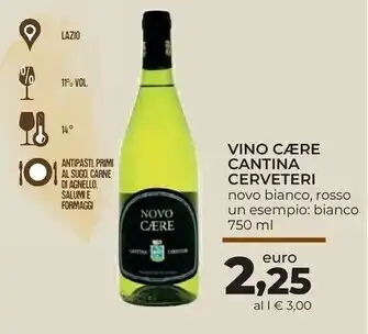 Cantina cerveteri vino caere
