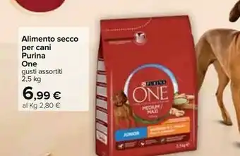 Carrefour Purina Alimento Secco Per Cani One offerta
