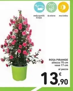 Spazio Conad Rosa piramide offerta