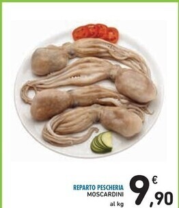 Moscardini