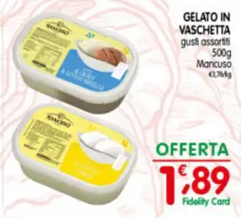 GELATO IN VASCHETTA 500g