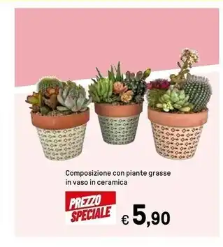Iper La Grande Composizione con piante grasse in vaso in ceramica offerta