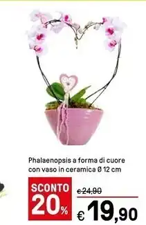 Iper La Grande Phalaenopsis a forma di cuore con vaso in ceramica offerta