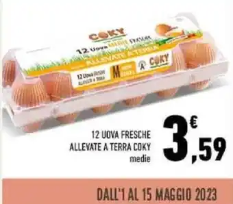 Conad 12 UOVA FRESCHE ALLEVATE A TERRA COKY offerta