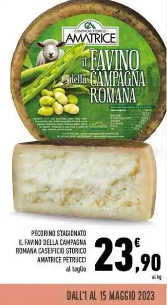 Conad PECORINO STAGIONATO IL FAVINO DELLA CAMPAGNA ROMANA CASEIFICIO STORICO AMATRICE PETRUCCI offerta