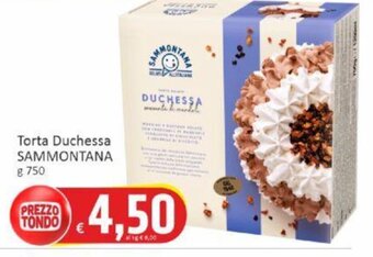 Paghi Poco Torta Duchessa SAMMONTANA g 750 offerta