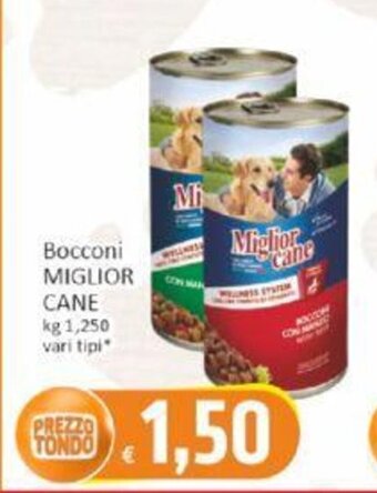 Bocconi MIGLIOR CANE kg 1,250 vari tipi