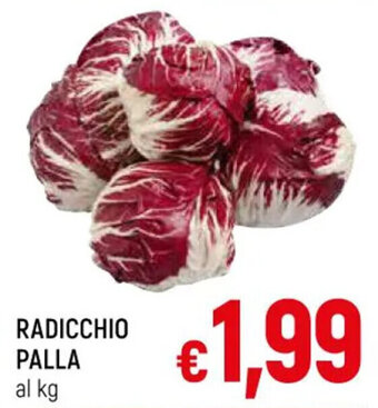 A&O RADICCHIO PALLA offerta