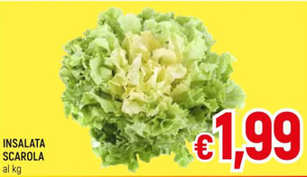 INSALATA SCAROLA
