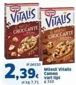 Ard Discount Sfornasole focaccia alla pala offerta