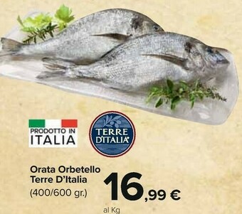 Carrefour Terre D'italia Orata Orbetello offerta