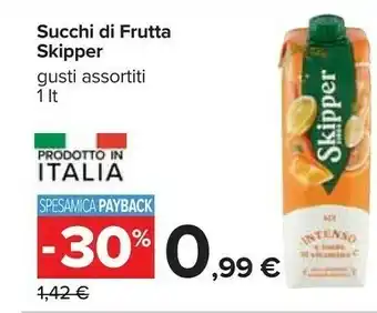 Carrefour Zuegg ACE Skipper 1000 G(ml) offerta