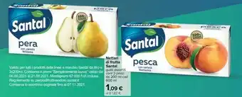 Carrefour Santal Nettare Di Frutta offerta