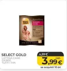 Gourmet Déco Heineken birra offerta