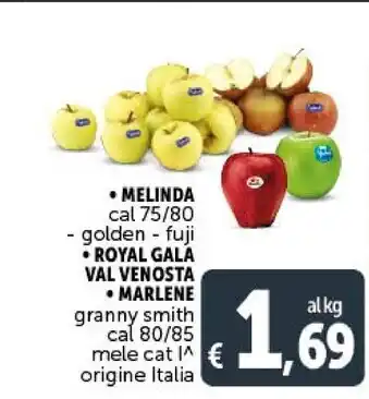 Gourmet Déco Civa vino offerta