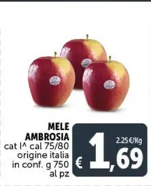 Gourmet Déco Tura vino frizzante cl 75 rosso offerta