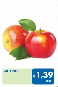 Conad Coky 12 uova fresche allevate a terra offerta
