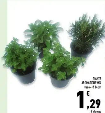 Conad Superstore Piante Aromatiche Mix offerta
