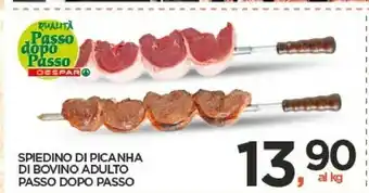 Despar Spiedino Di Piacanha Di Bovino Adulto offerta
