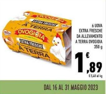 6 UOVA EXTRA FRESCHE DA ALLEVAMENTO A TERRA OVOGIOIA 350 g