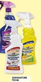 Risparmio Casa Sgrassatore offerta