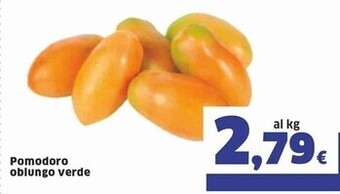 Sigma Pomodoro oblungo verde offerta