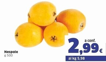 Nespole
