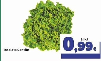 Sigma Insalata gentile offerta