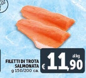 Gourmet Déco Filetti di trota salmonata offerta