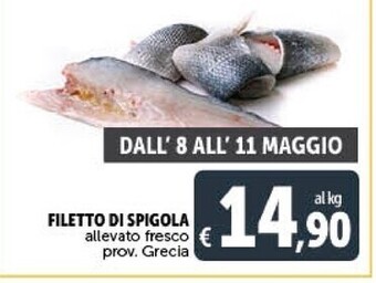 Filetto di spigola