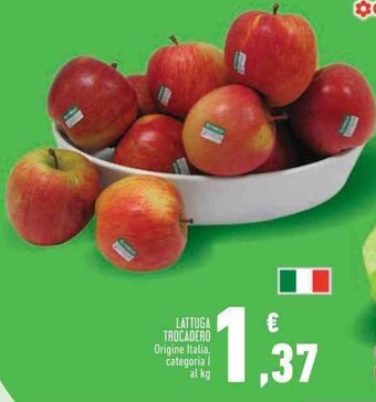 Conad Superstore LATTUGA TROCADERO offerta