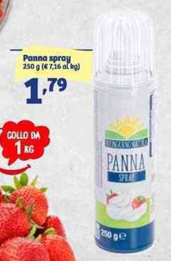 In'S Mercato Panna spray 250 g offerta
