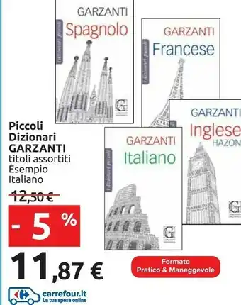Carrefour Garzanti Piccoli Dizionari offerta