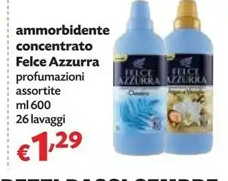 Pam Felce Azzurra Ammorbidente Concentrato offerta