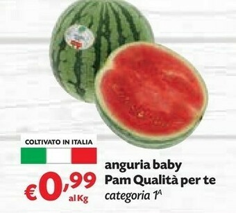 Pam Anguria offerta