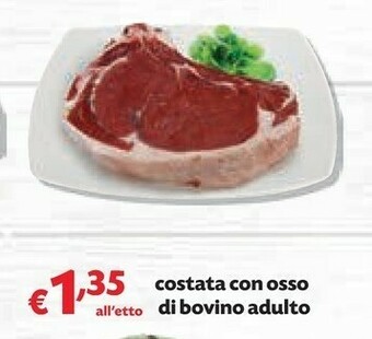 Pam Carne offerta