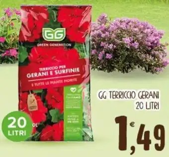 GG TERRICCIO GERANI 20 LITRI