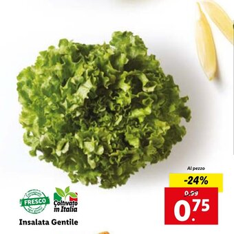 Lidl Insalata Gentile offerta