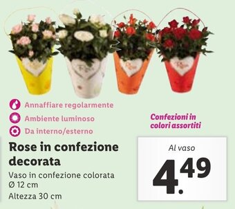 Lidl Rose in confezione decorata offerta