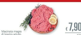 Unes Macinata Magra Di Bovino Adulto offerta