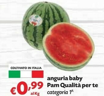 Pam Anguria offerta