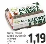 Conad Margherita Martini spugna offerta