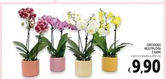 Spazio Conad Orchidea multiflora 2 rami offerta