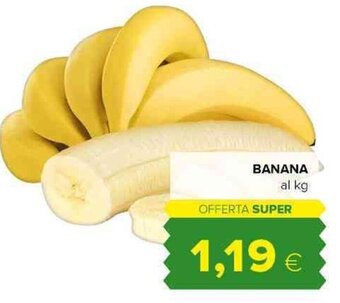 Tigre BANANA offerta