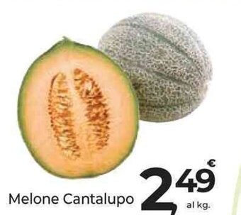 Supermercati Dok Melone Cantalupo offerta