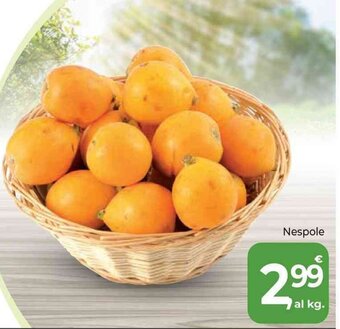 Nespole