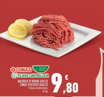 Conad Margherita MACINATO DI BOVINO ADULTO CONAD PERCORSO QUALITÀ offerta