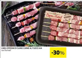 Coop LINEA SPIEDINI DI SUINO CARNE AL FUOCO AIA vari formati offerta